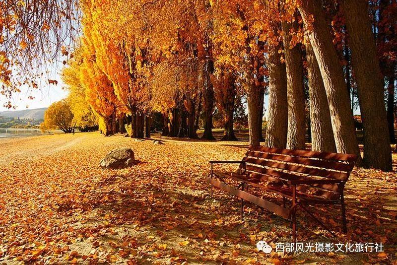 济南市莱芜区寨里镇党委理论学习中心组开展1月份集中学习活动